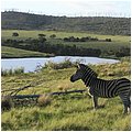 Suedafrika366.jpg
