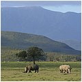 Suedafrika367.jpg