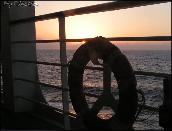 AIDAaura022.jpg