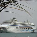 Blu001.jpg