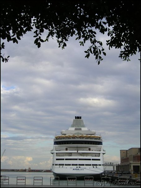 AIDAcara018.jpg