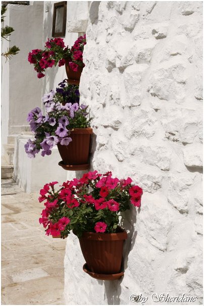 Alberobello0011.jpg