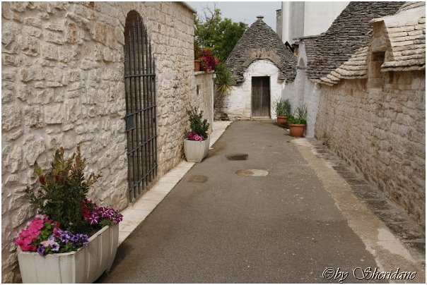 Alberobello0025.jpg