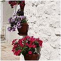 Alberobello0011.jpg