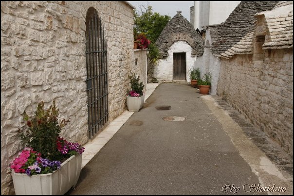 Alberobello024.jpg