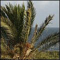 AlgarveAndalusien027.jpg