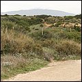 AlgarveAndalusien059.jpg