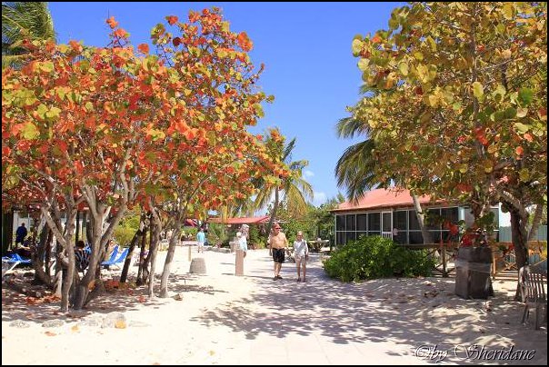 Cays003.jpg
