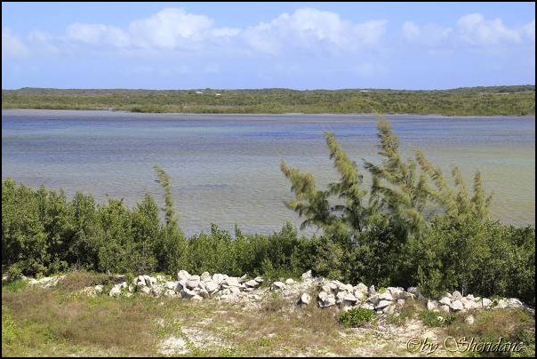 Cays007.jpg