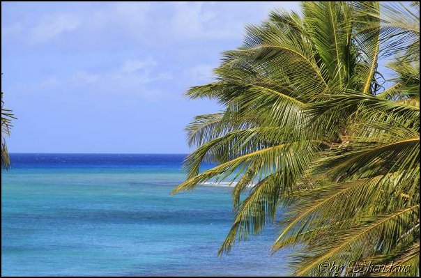 Cays009.jpg