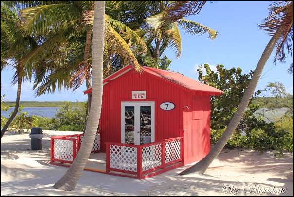 Cays013.jpg