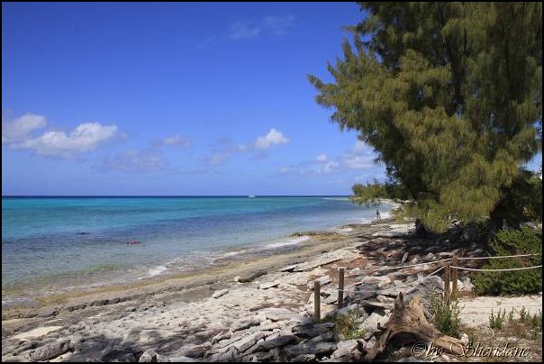 Cays015.jpg