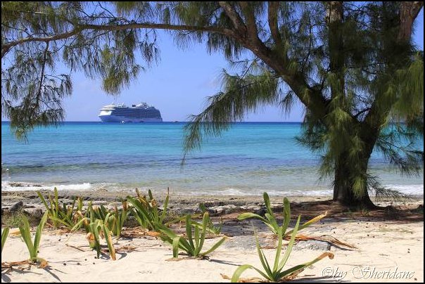 Cays016.jpg