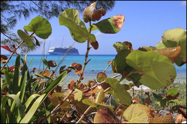 Cays021.jpg