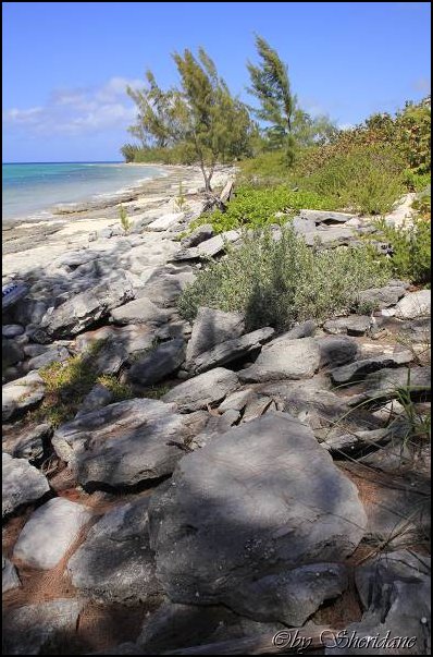 Cays022.jpg