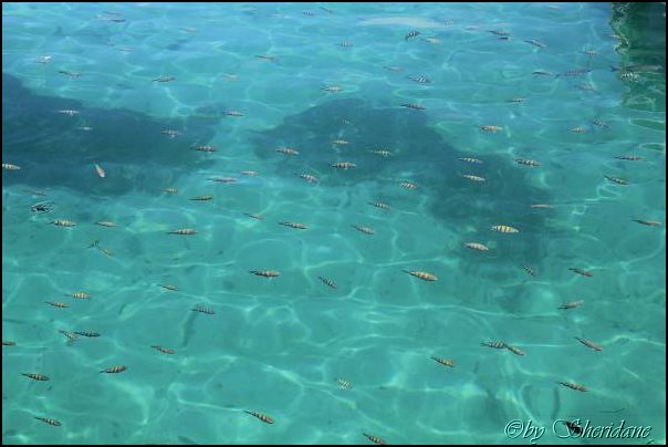 Cays028.jpg
