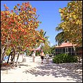 Cays003.jpg