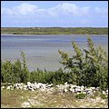 Cays007.jpg