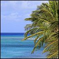 Cays009.jpg
