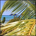 Cays019.jpg