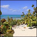 Cays020.jpg