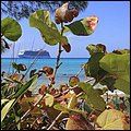 Cays021.jpg