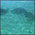 Cays028.jpg