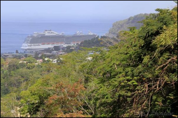 Dominica15013.jpg