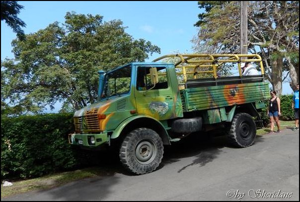 Dominica15015.jpg