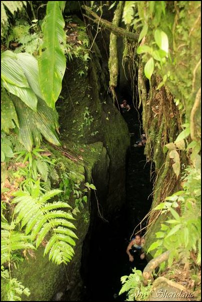 Dominica15037.jpg