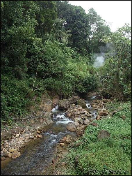 Dominica15042.jpg