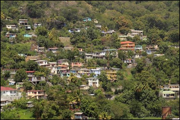 Dominica15045.jpg
