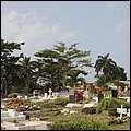 Dominica15002.jpg