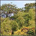 Dominica15008.jpg