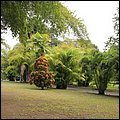 Dominica15016.jpg