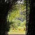 Dominica15020.jpg