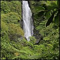 Dominica15029.jpg