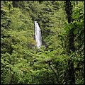 Dominica15031.jpg