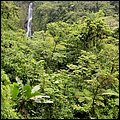 Dominica15032.jpg
