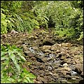 Dominica15035.jpg