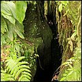 Dominica15037.jpg