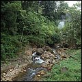 Dominica15042.jpg
