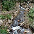 Dominica15043.jpg