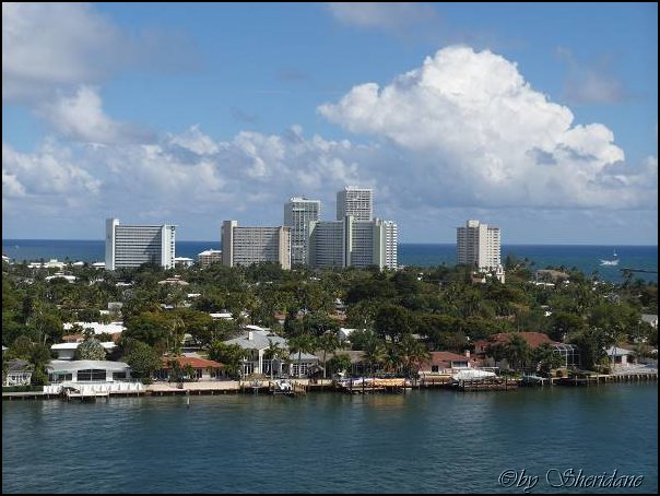 FLL15003.jpg