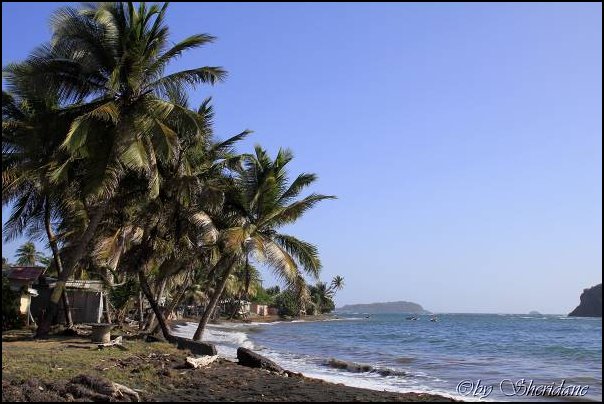 Grenada15008.jpg