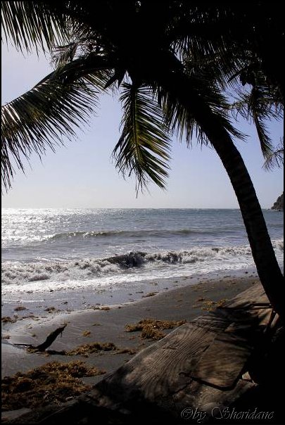 Grenada15009.jpg
