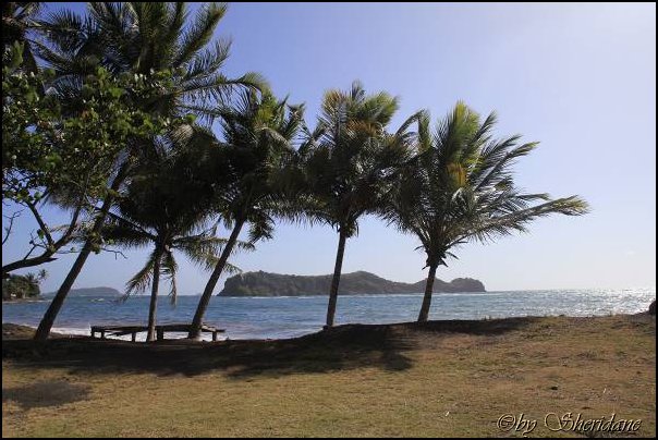 Grenada15016.jpg