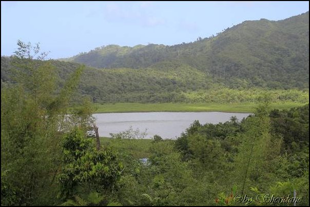 Grenada15024.jpg