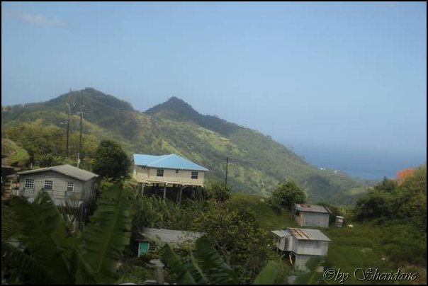 Grenada15032.jpg