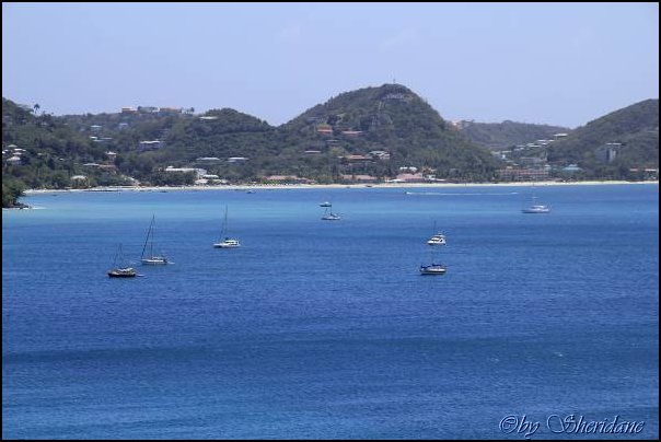 Grenada15052.jpg